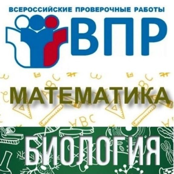 �������, 13 ��������, ����������� ������� ������� ���� ������ ����������, ������ ������������ � ���. ����������� ��������� ������� �� ������������� ����������� ������� - ������������ ������ ���������� �� ��������