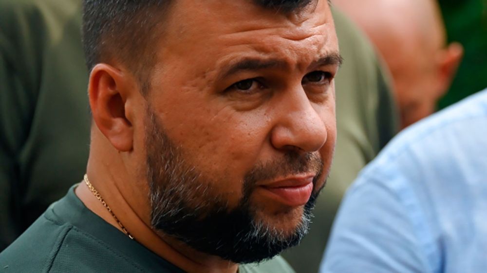 В ДНР рассказали о количестве польских наемников в районе Святогорска