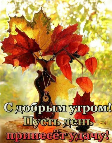 ������� �������: