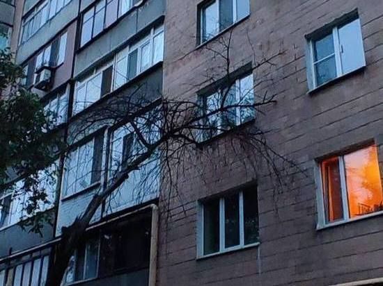 � ������� ���������� ������ ��������: ����