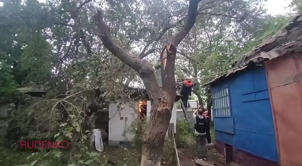 ���� �������: ��� ���������� ����� �������