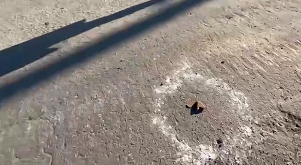 ����: �� �� �������� ���������������� ������ ��������� ���������� ���������� � ������ � ��������, �������� ���������� ���