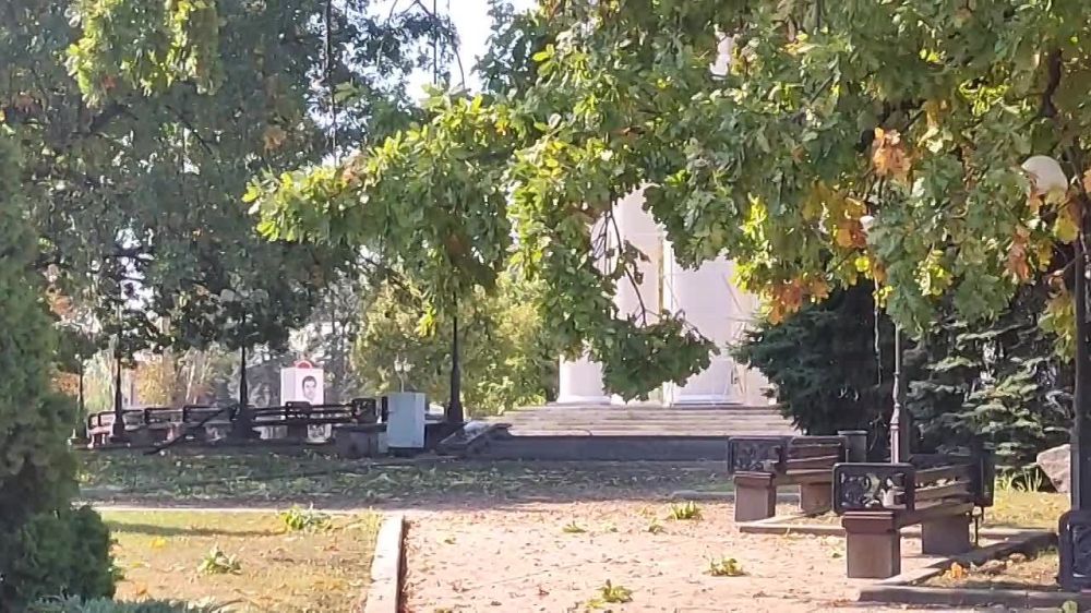 ���� ������ - ����� ������