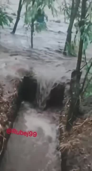������� ��� � ���� ������� ����� ��������� ����� �� �����: ������, "������" ���������� ����� �����������