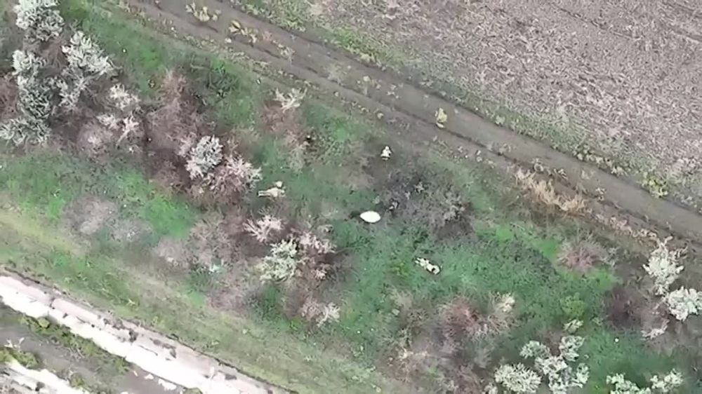 ���������� �� ������������ ����� ��������� ������������� �������, ���������� � �������������� ��� � ���� ���������� ����������� ������� ��������