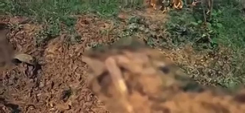 ��������� �� �������� ������� � "���������" �� ���������� �����������