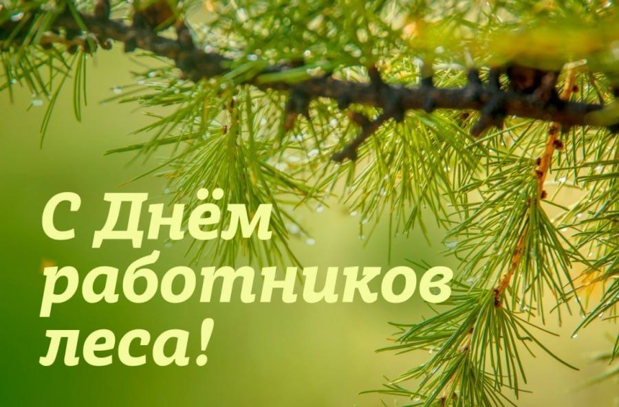 ����� �����: ������� ��������� ������� ���������! ������ �����, ��� �� ���������� ���� ������� � ��������� ������������ ��� ����