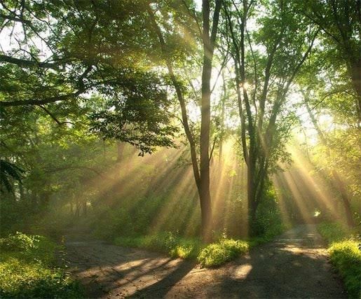 ����-������� �������� ������ ��������� ���������� ������� ��������� � ���������������� ����������