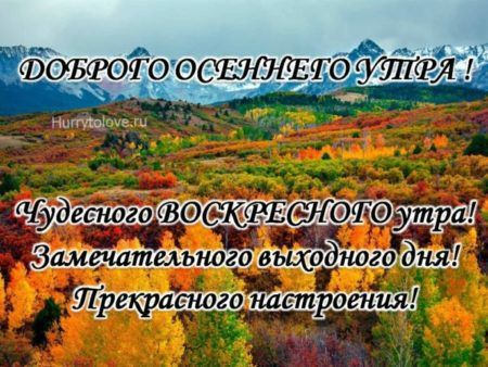 ������� �������: ����� ���� ����� �������� �������� � �������� ���������