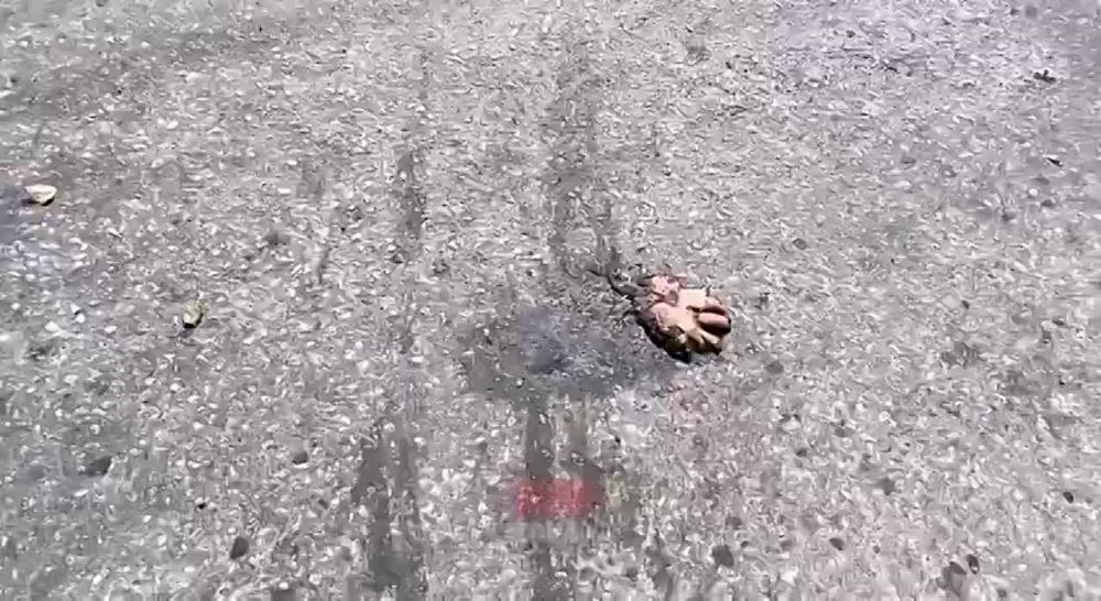WarGonzo: ���� ����� ������� � ���������� ����� ��� �� �������