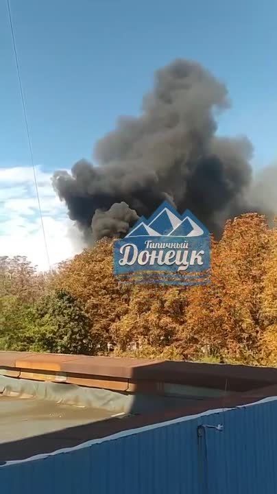 ���� �������: ����������� ���������� ���� �� �������