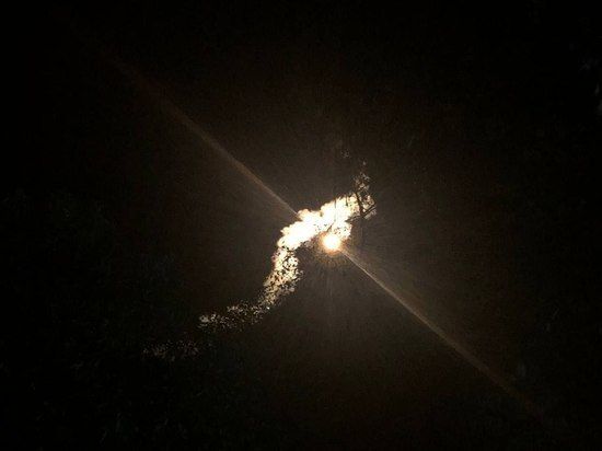 ������ ������� ��������� ����� ���������� ���������� ������: ����
