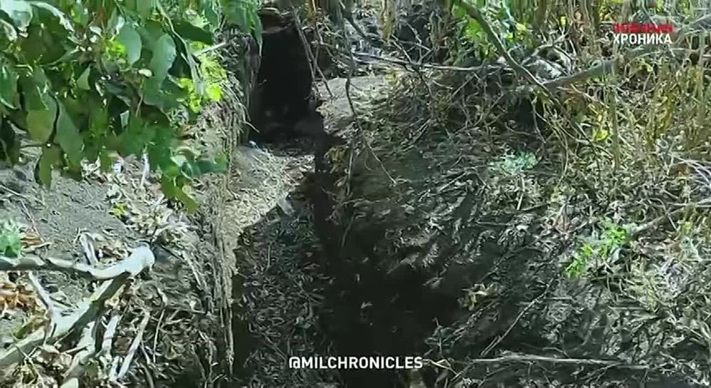 ��������� ������� ��� ��� ���������