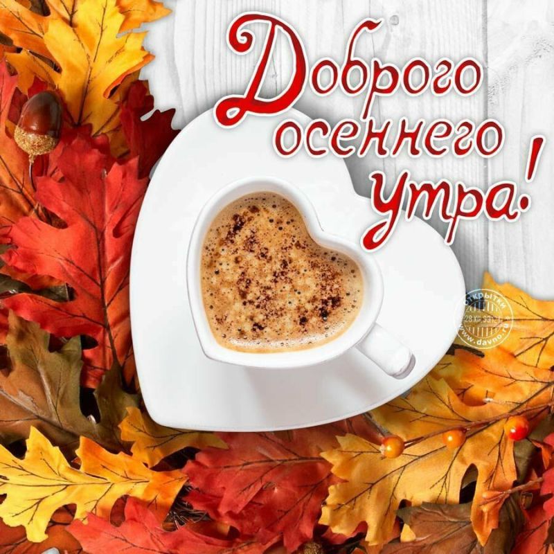 ������� �������: