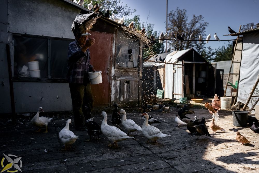 ����� ��������: ������ � @vn_rangeloni , ��� � ����� 24 �������, ����������� ��� �������� �������� �� ����� ������������