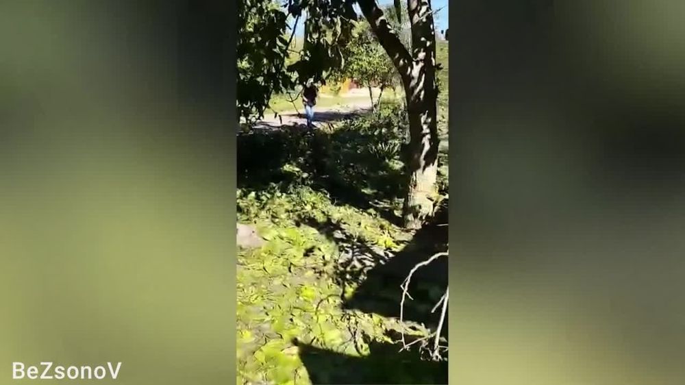 ������ ��������: ���������� ������� ��������� �������� ����� ��������, ����� ����������������, ����� ������������ �����