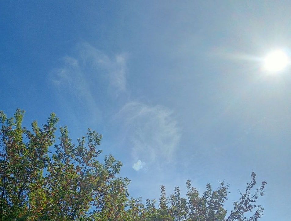 ���� �������: ��� �������� �������� ���