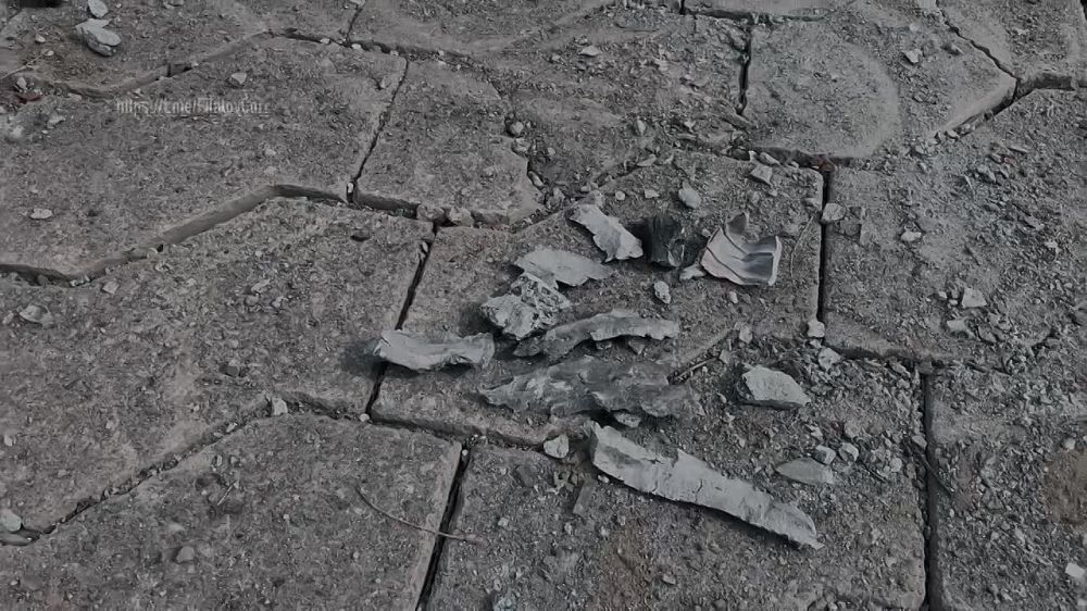 ������ �������: ������ �������� ������ � ������� ����������������� �������������� �������