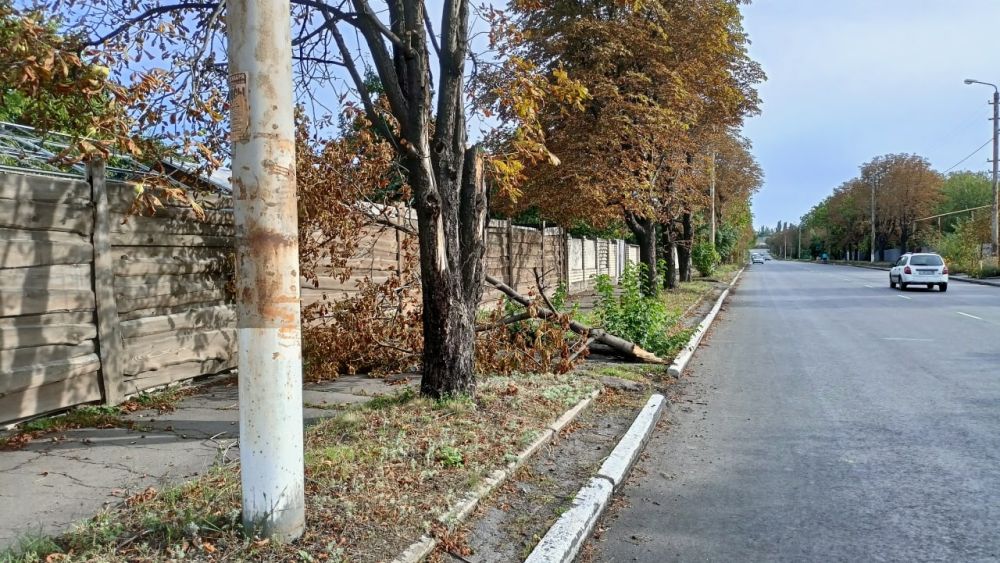 ��������� ��������: ������ ���������� ������