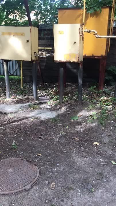 ��������� �����������: ��������� �����������:. �� ������ ������������