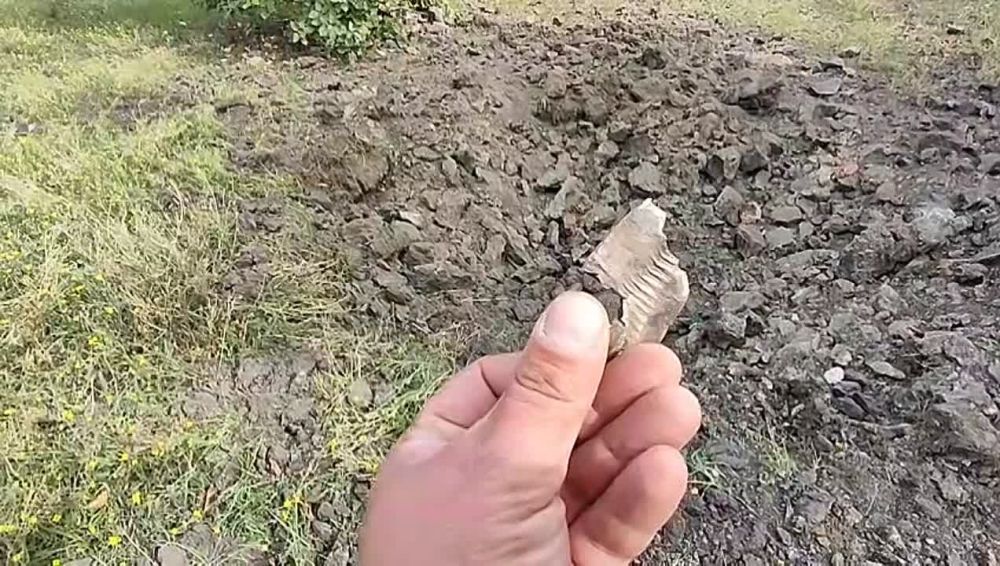 ������ ���������: ������ � ������ �������