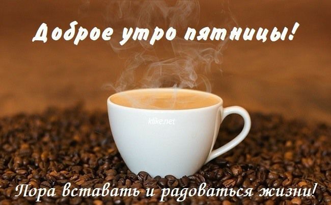 ������� �������: