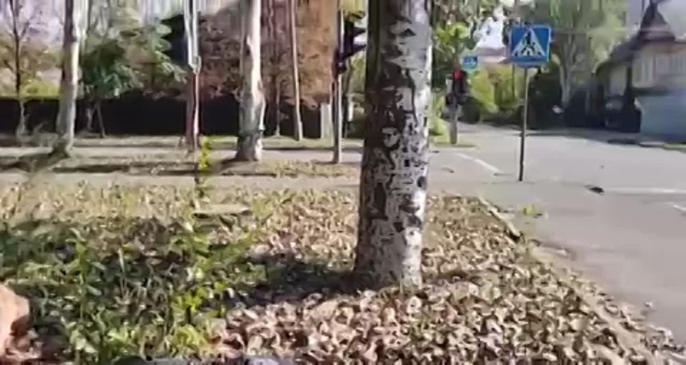 ����������� �������� ������ �. �������