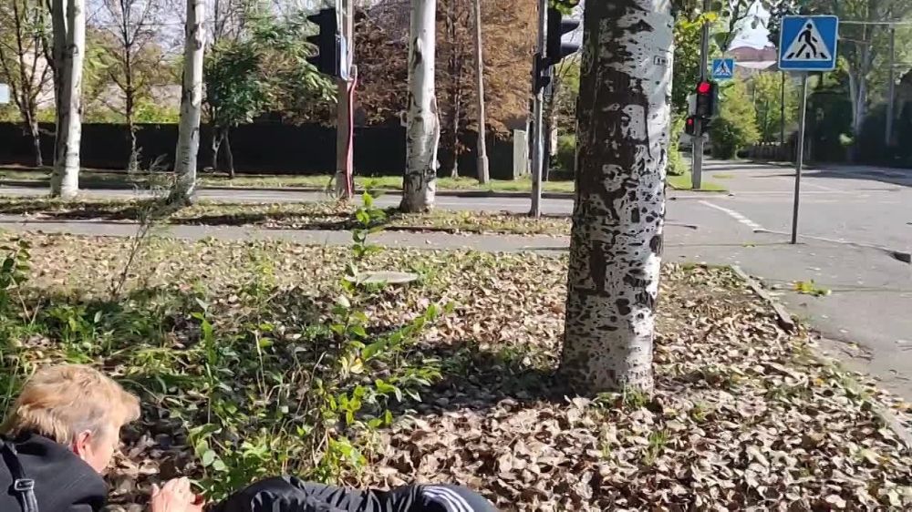 ���� �������: ����������� ���������� ���� �� �������