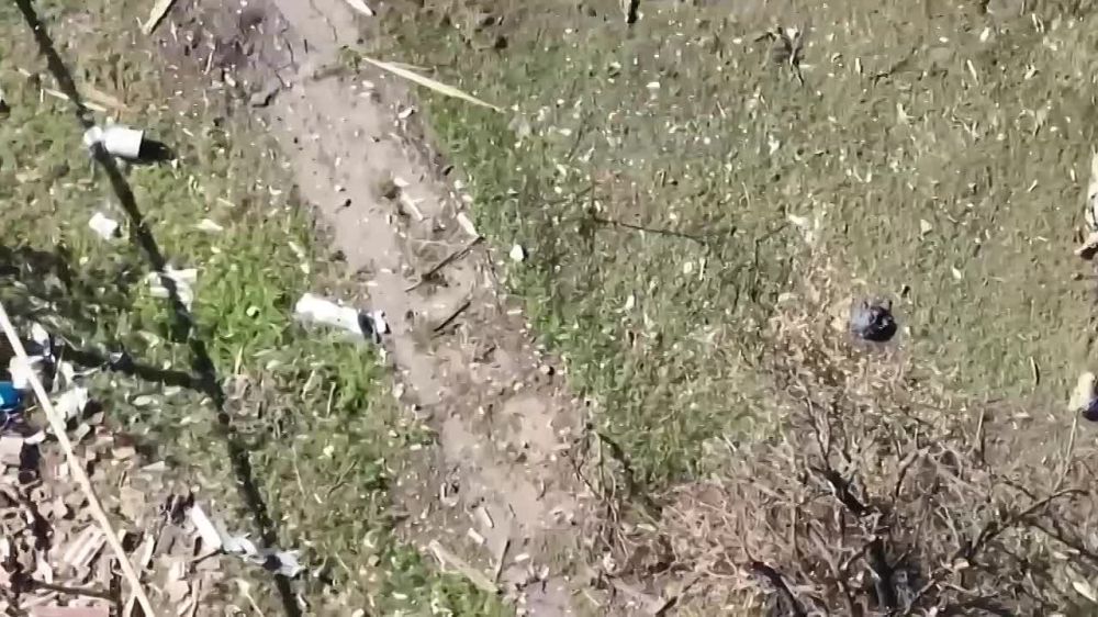 ���� ���������� ���������� ����� � ������ �������� ��� ��������