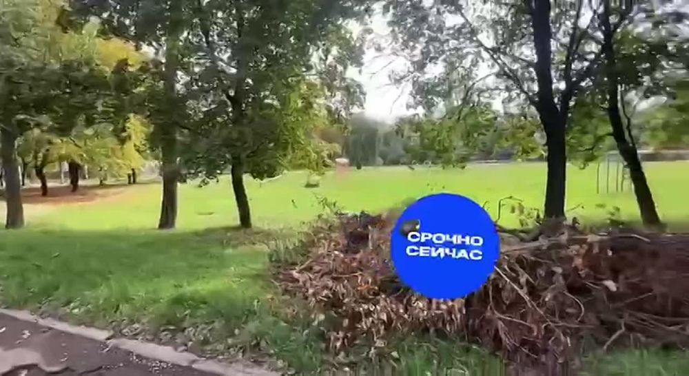 ����������� �������� ������ "����������"