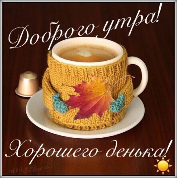 ������� �������: ����� ���� ���� ����� ����� � �����������