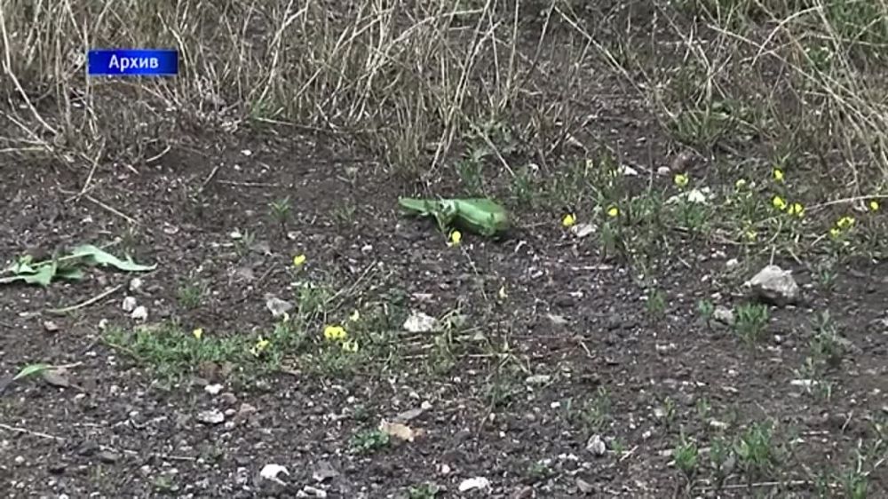 ���������, ��������! ��� ��������� ������ � ����������� ���� ��������