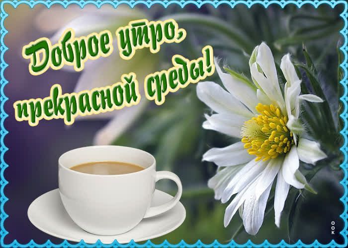 ������� �������: ����� ���� ���� ��� ����� ������
