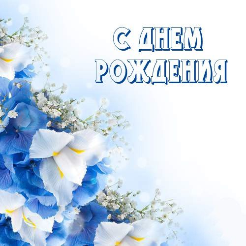 ������ �������: ������� ���� ���� �������� �������� ������� ����������� ��� �������� �������� ���������� ������� ����������