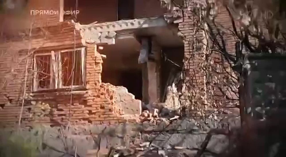 " - ��� � ���� � 14-�� ���� �����