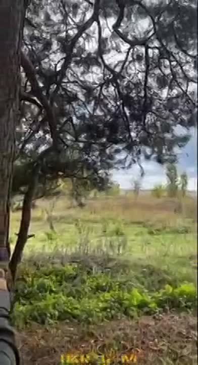 ��� ������ ������� ������������� ����� �� ����� � �������� ������, �������� �������� � ������ �� �������