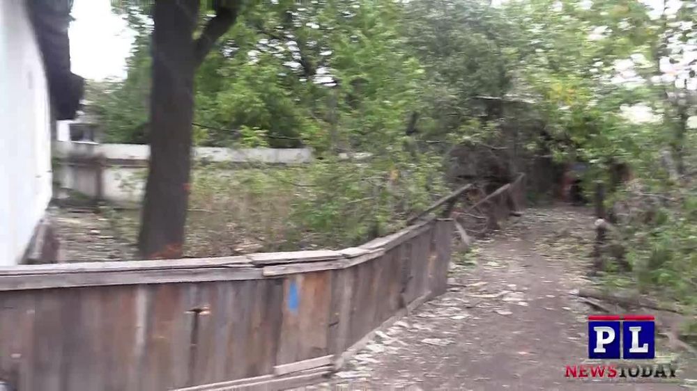 ������ ���������: 3 ������ ������ ���� ����� ���������� ���������� � �������� (����������� ��������)