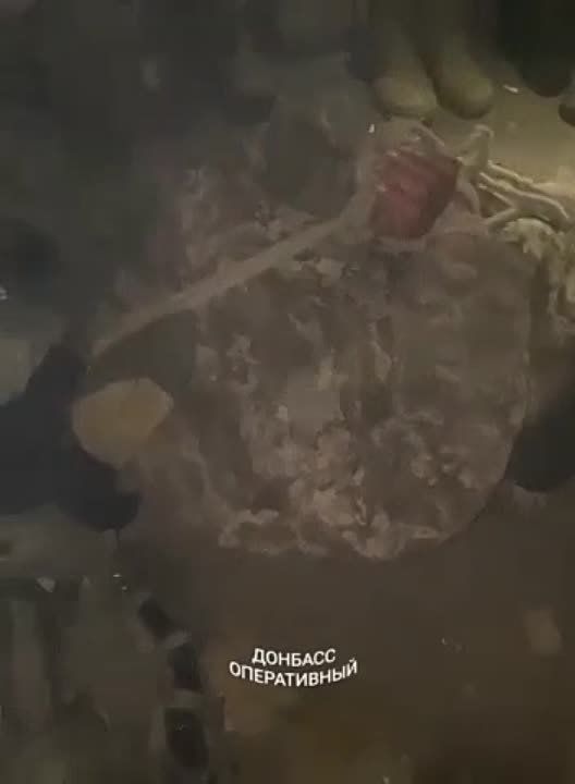 ����: �������� � �������� ����������� � �������������� ���� �������������� �����, � ��� ����� ��������� ��������� ��������� �� ��������� � ��������������