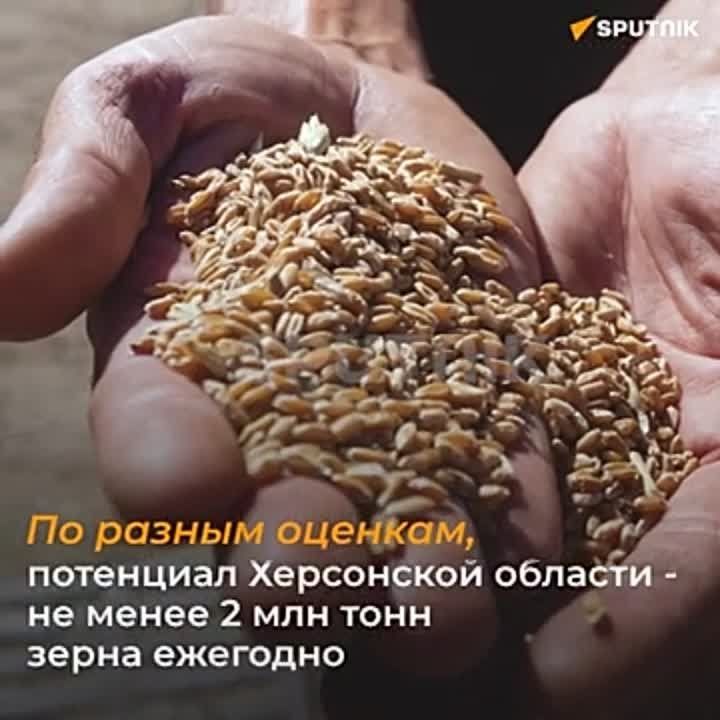 ������� ������� ���������� ������� ������� � �������� � ������ ������ ���, ���, ����������� � ���������� ��������