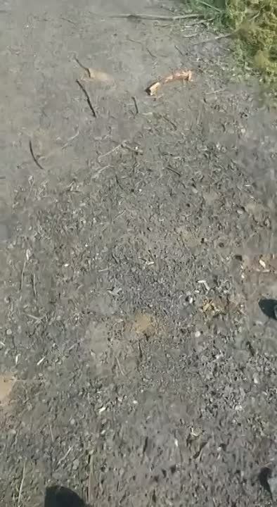 "�� ������ ��� �������, � �����"