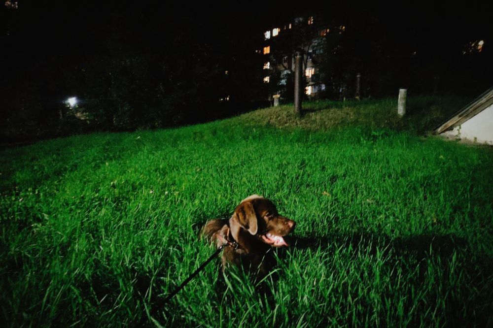 ����� ��������: �������� ������� ��������� � �������� �������� �� �������