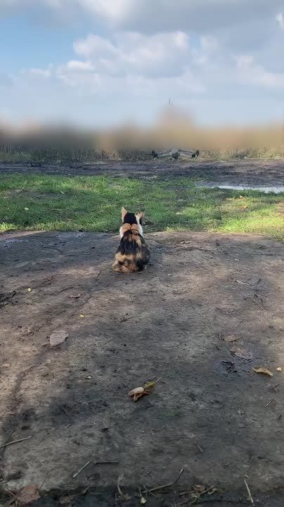 ����� ������ � ����� ������ ����� �������� �����