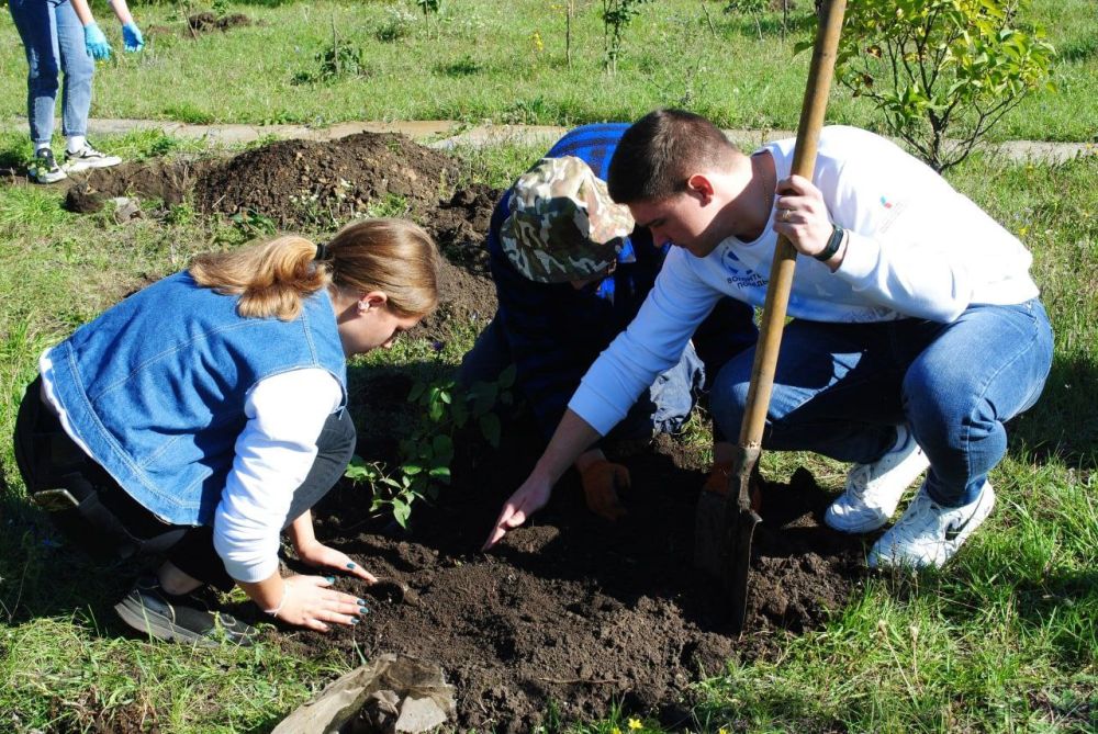 Волонтёры Победы проводят марафон добрых дел по всей стране и мы не остались в стороне!