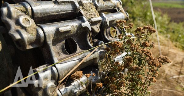 ���� �� ����� � ���� � �� ��� ������� ��� ������� �777, ���� � �� 40 ��������