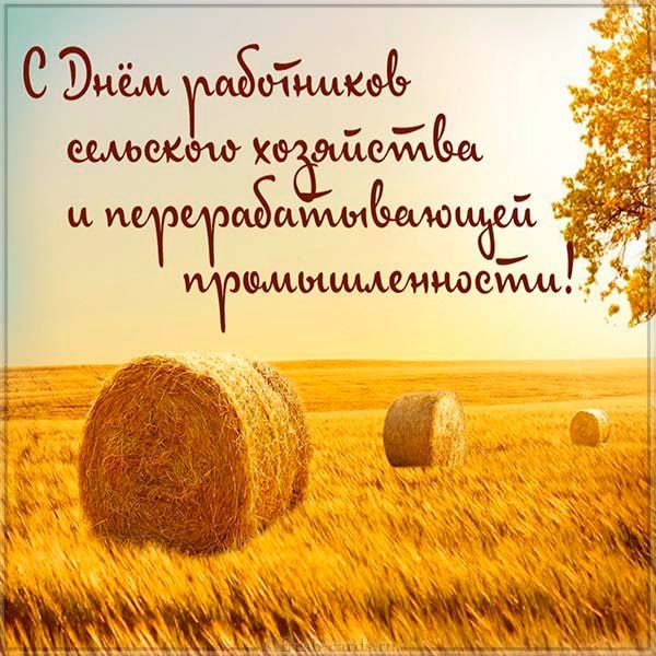 ������������ � ���� ��������� ��������� ��������� � ���������������� �������������� �� ������ �������� ������������� �. ��������