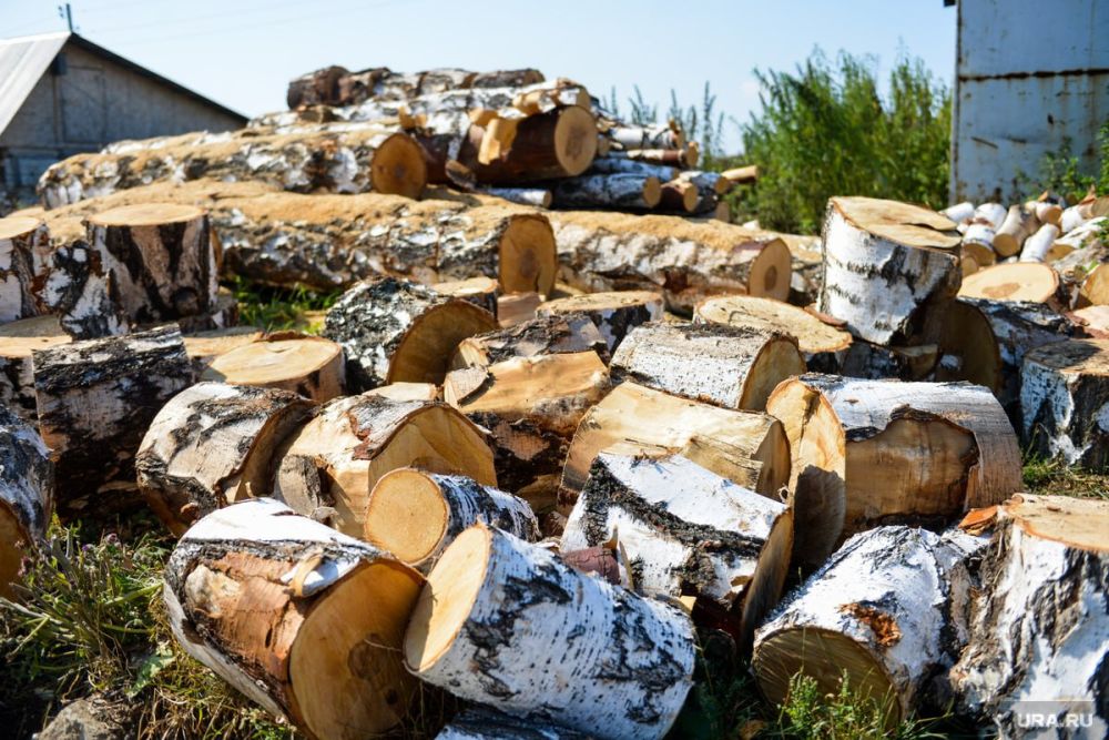 ������ ������� ������� 15 ��� �������� �� ������� ���� � �����-������� � ������������� ������