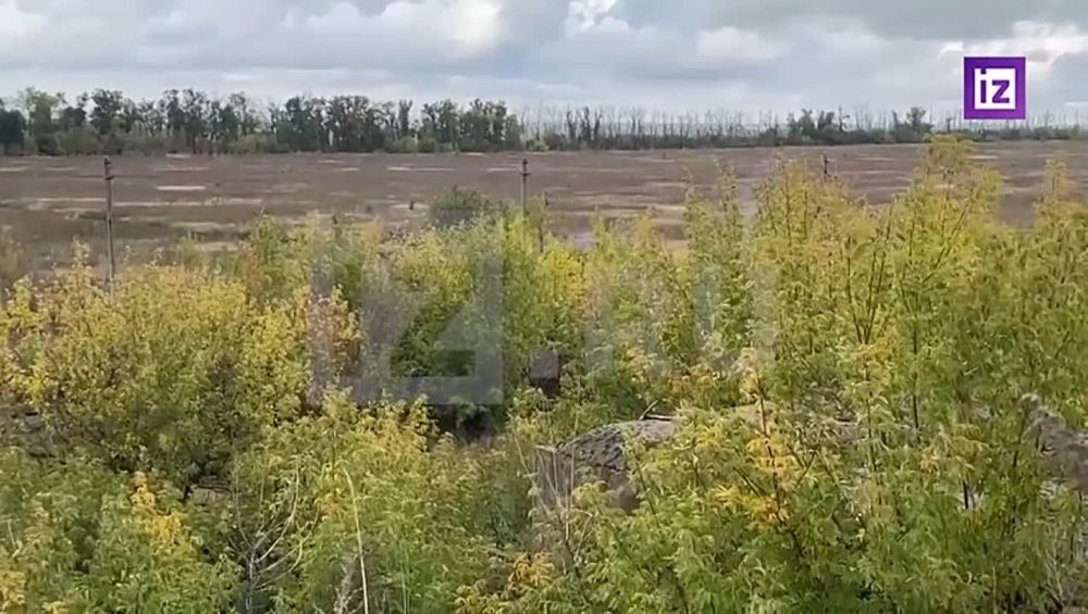 ���������: ������ ������ 11-�� ����� ��� � ��������� "������" ���� ����� � ���� ������������