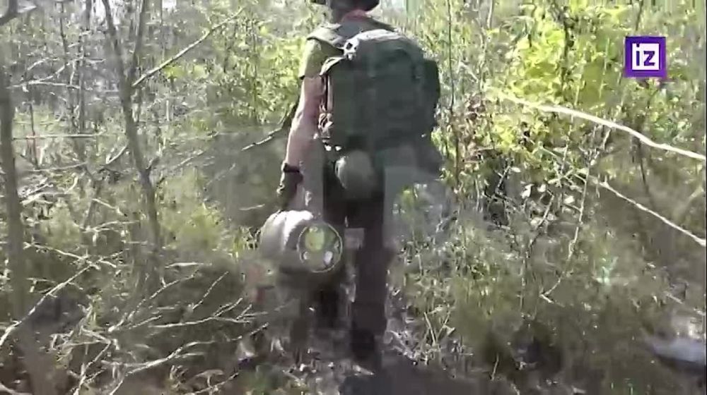 ������������� "��������" ��������� �������� ������� �� �������� ����������������� ������� "��������" � ������ ��������