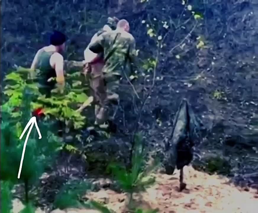 ���� �������� ��������, ��� ������� ������� ������ ������ ������� ������� �� ������ �� ��������, ������� ��� ����� �����, ������� ������ ���� �� ������� ������