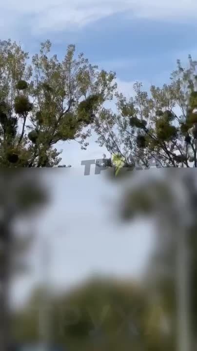 ����� ��������� ������� ������� � ���� ������� �� ���� �������� ���������� � �������